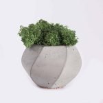 plant4 free img 150x150.jpg